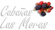 Cabañas Las Moras